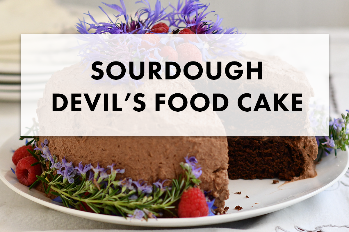 Addicting + Healthy Sourdough Devil’s Food Cake Recipe