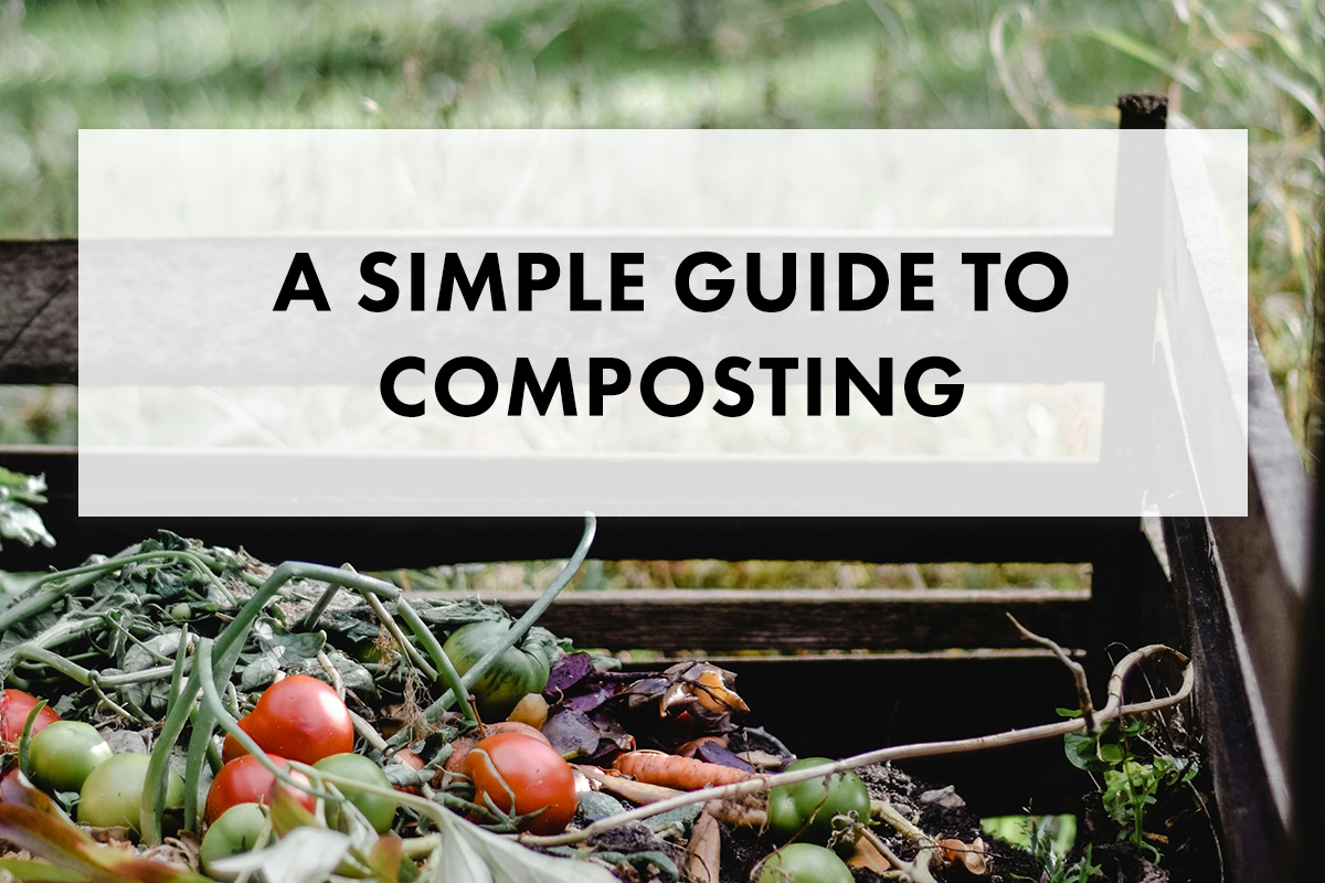 What and How to Compost: A Simple Guide to Greens, Browns and the C:N Ratio