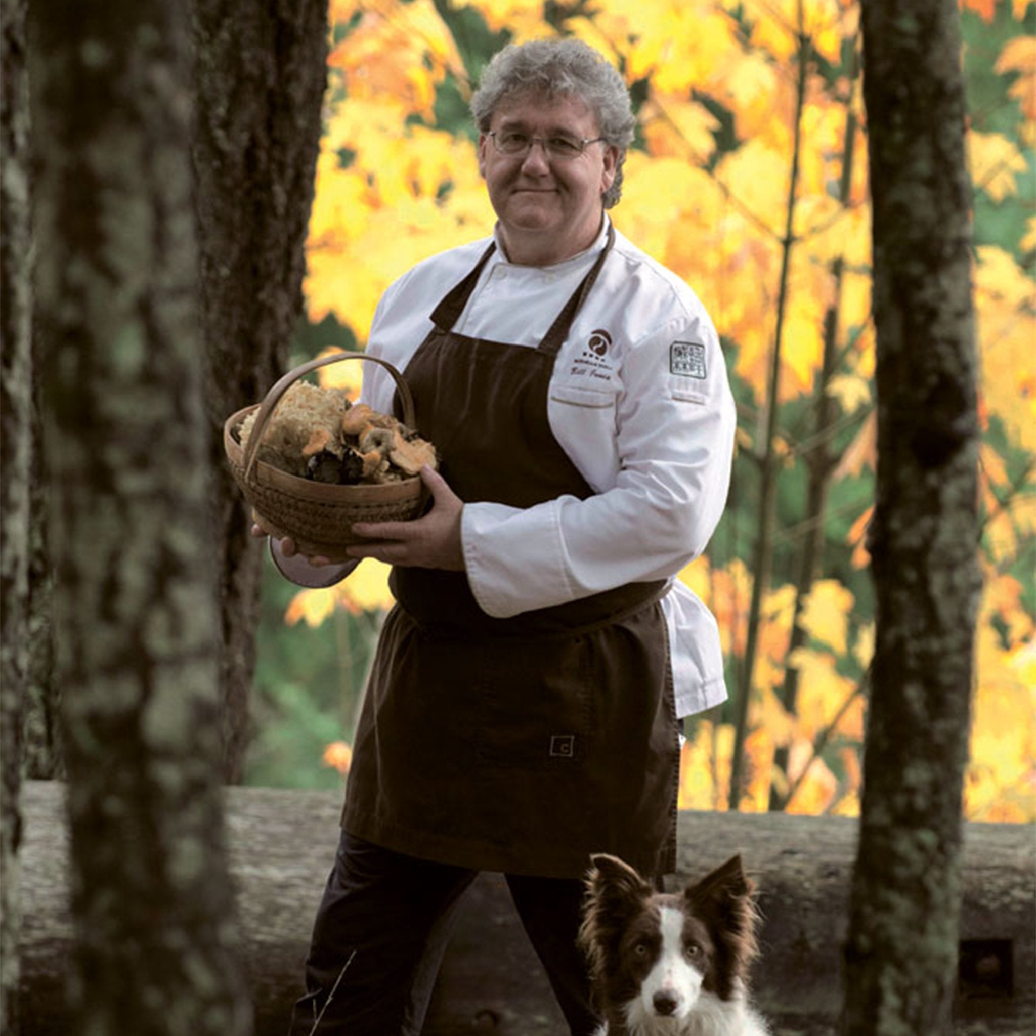 Full body portrait shot, Bill is a white man with white hair, wearing glasses, chefs whites, and a brown apron. He is standing in a forest, holding a basket of mushrooms with his dog sitting in front. He is looking at the camera smirking.