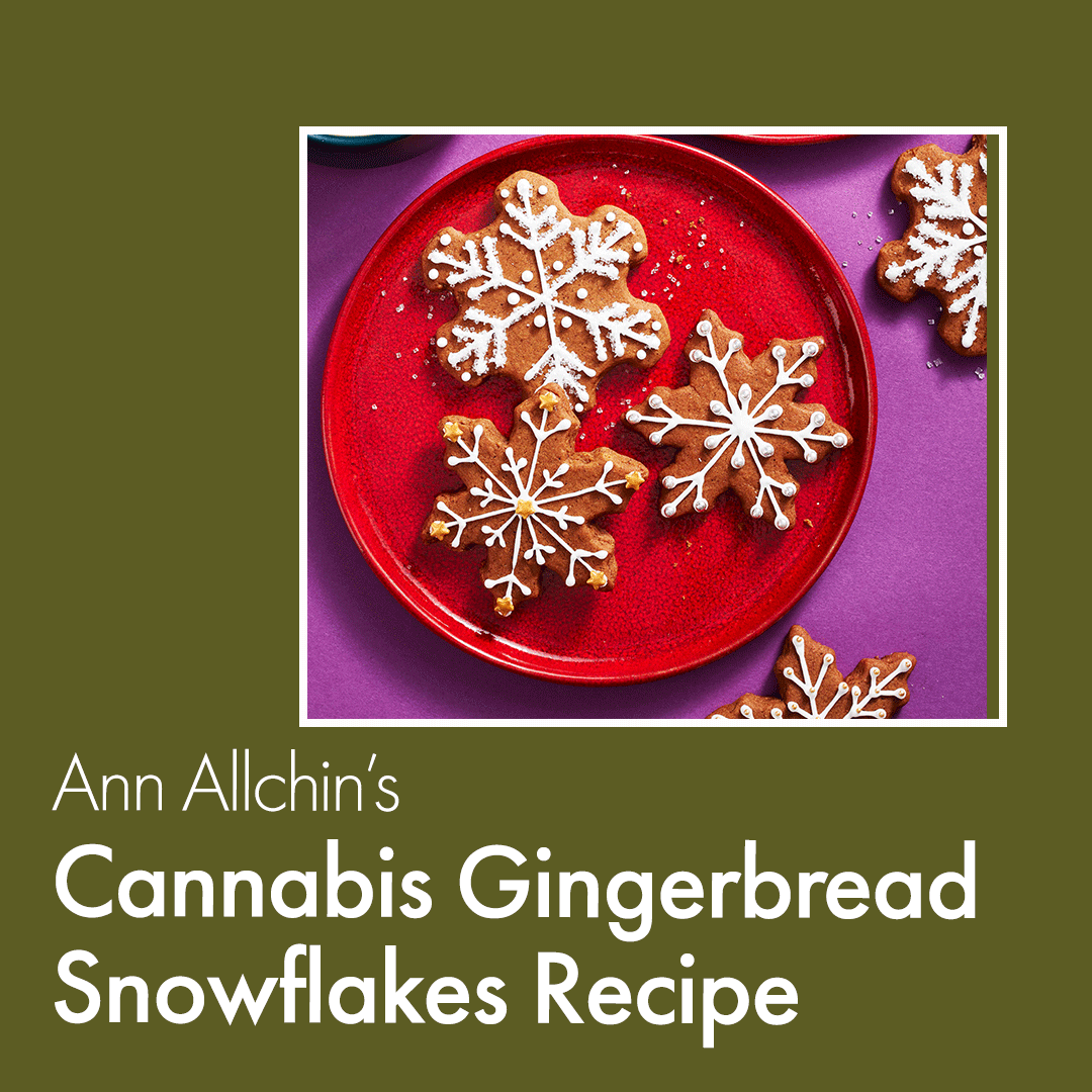 Cannabis Cookie Recipe for the Ultimate Holiday Cheer