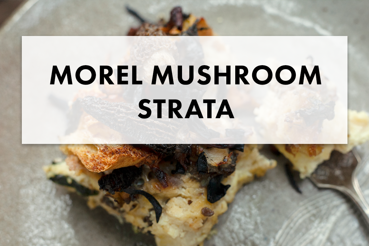 Wild Delights: Morel Mushroom Strata Recipe for Spring