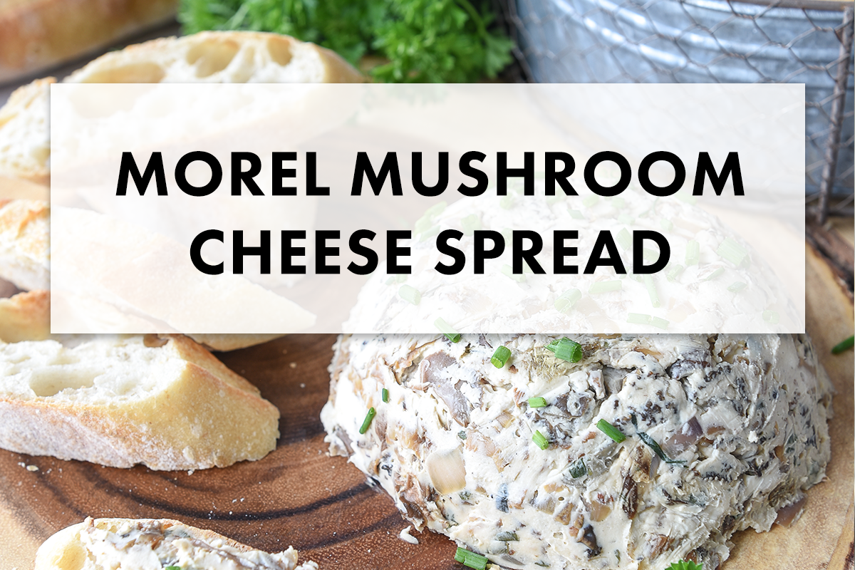 Taste the Wild: Morel Mushroom Cheese Spread Recipe