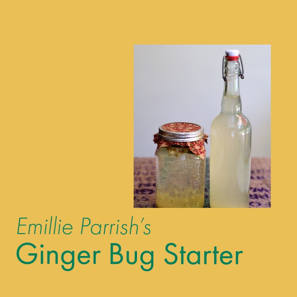 RECIPE: Ginger Bug Starter