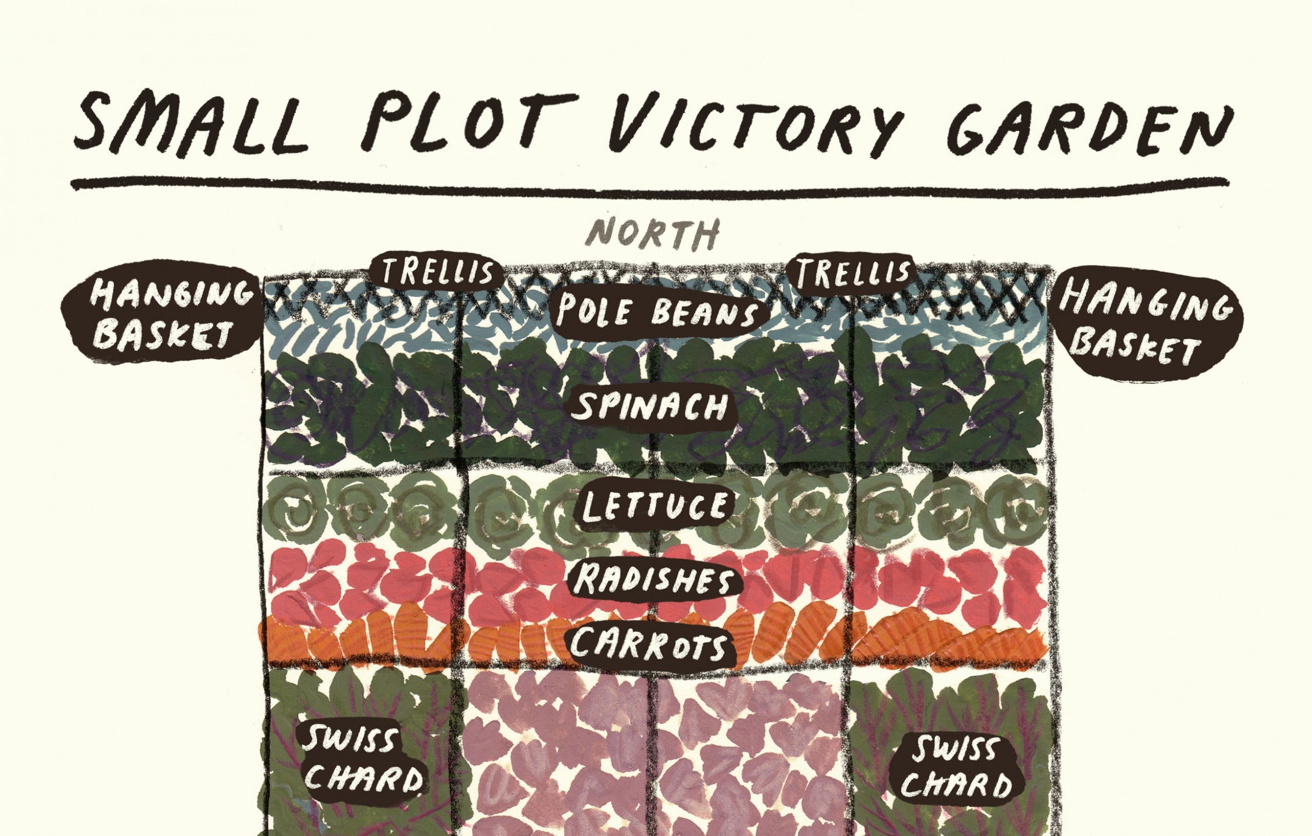 A Small Plot Victory Garden for 2020