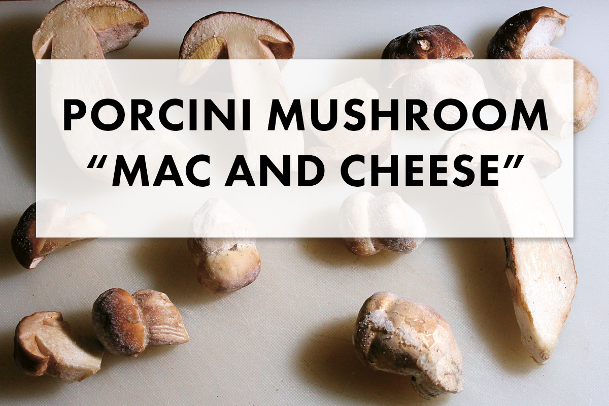 Orecchiette "Mac and Cheese" with Porcini Mushrooms