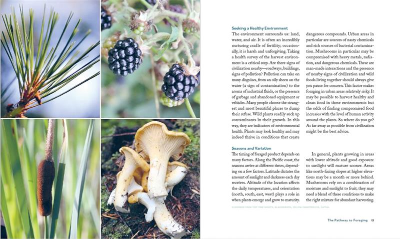 The Deerholme Foraging Cookbook