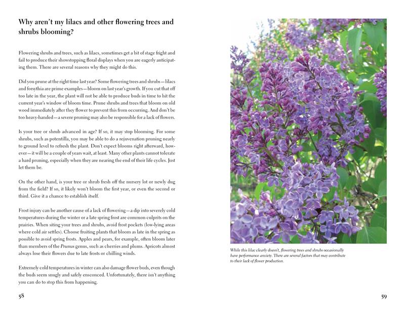 The Prairie Gardener's Go-To Guide for Trees and Shrubs