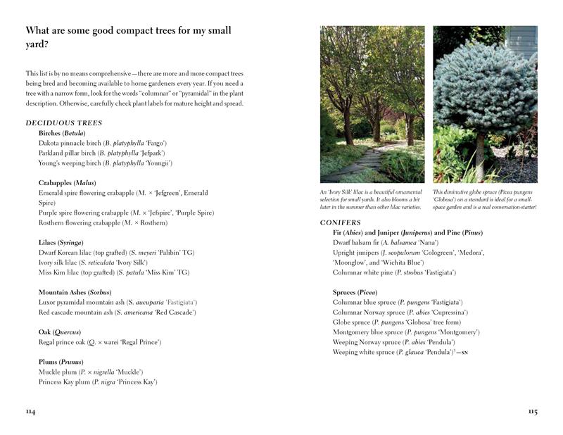 The Prairie Gardener's Go-To Guide for Trees and Shrubs