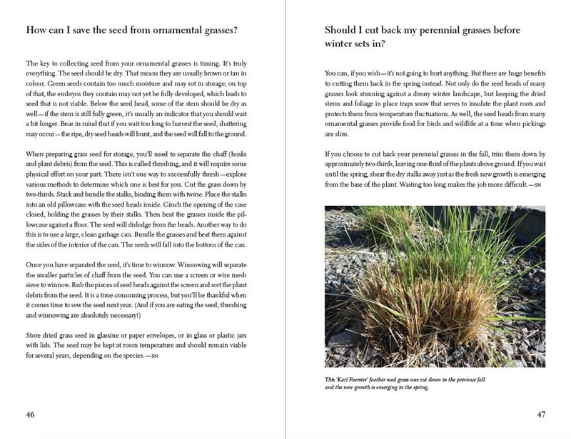 The Prairie Gardener’s Go-To for Grasses