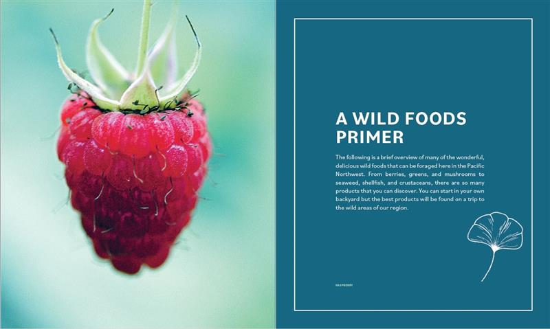 The Deerholme Foraging Cookbook